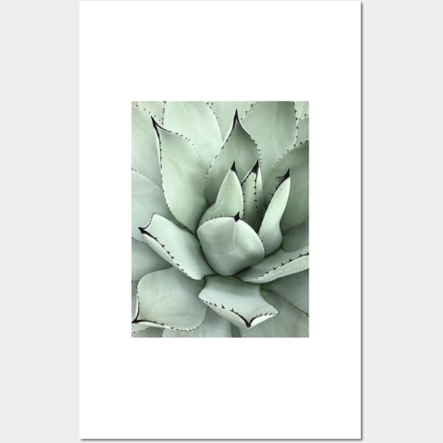 Bright Succulent Photo Wall Art by Rosemogo